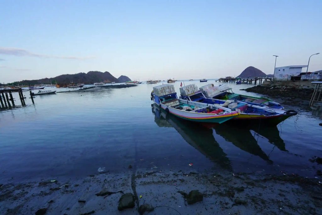 Navigating Flores and Beyond: Why Your 2027 Indonesian Adventure Needs Dual Transport Expertise